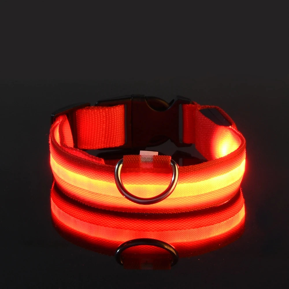 LED Dog leash