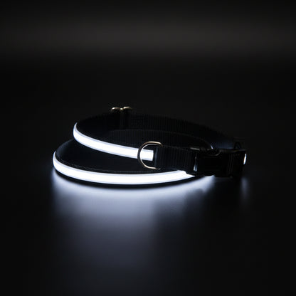 LED Dog leash