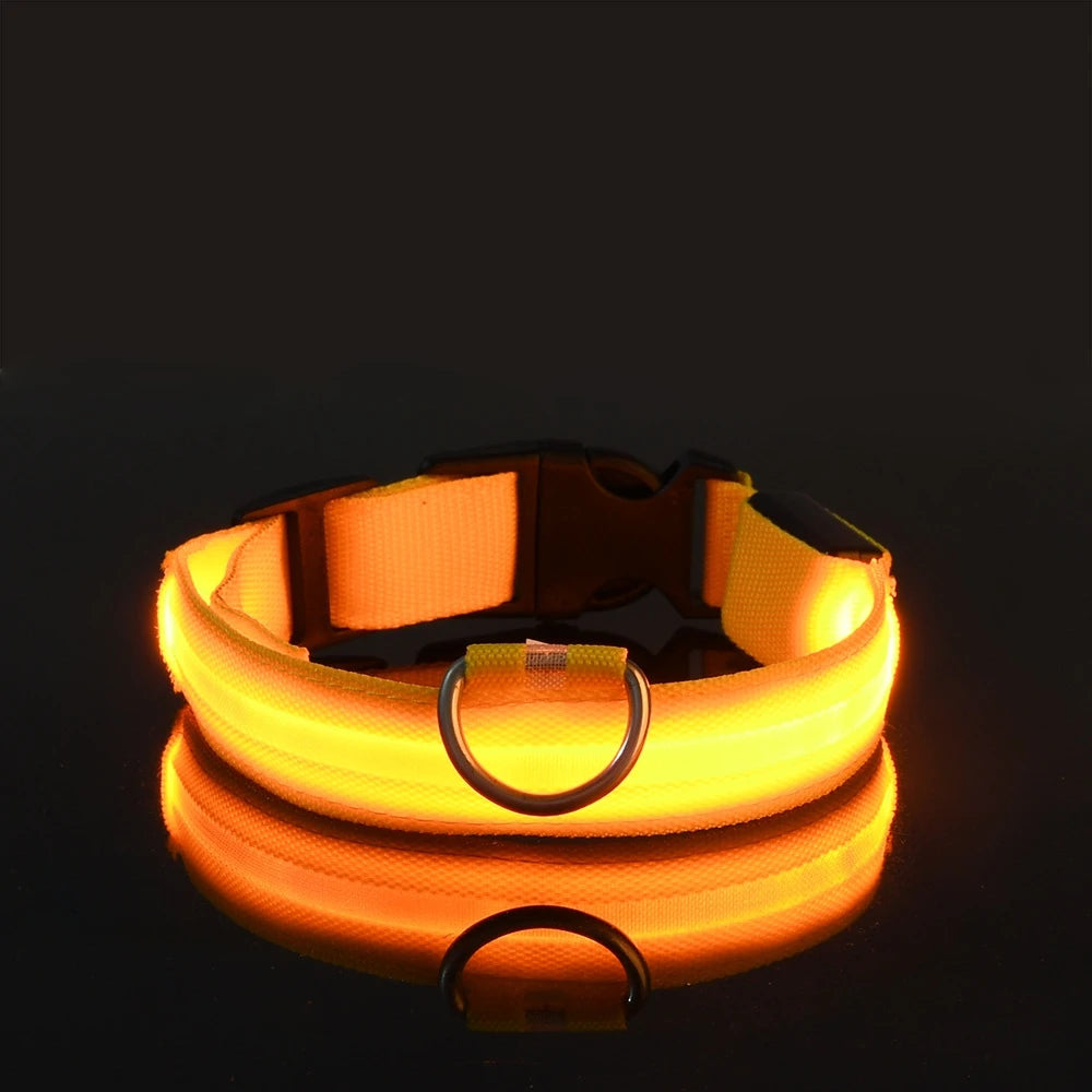 LED Dog leash