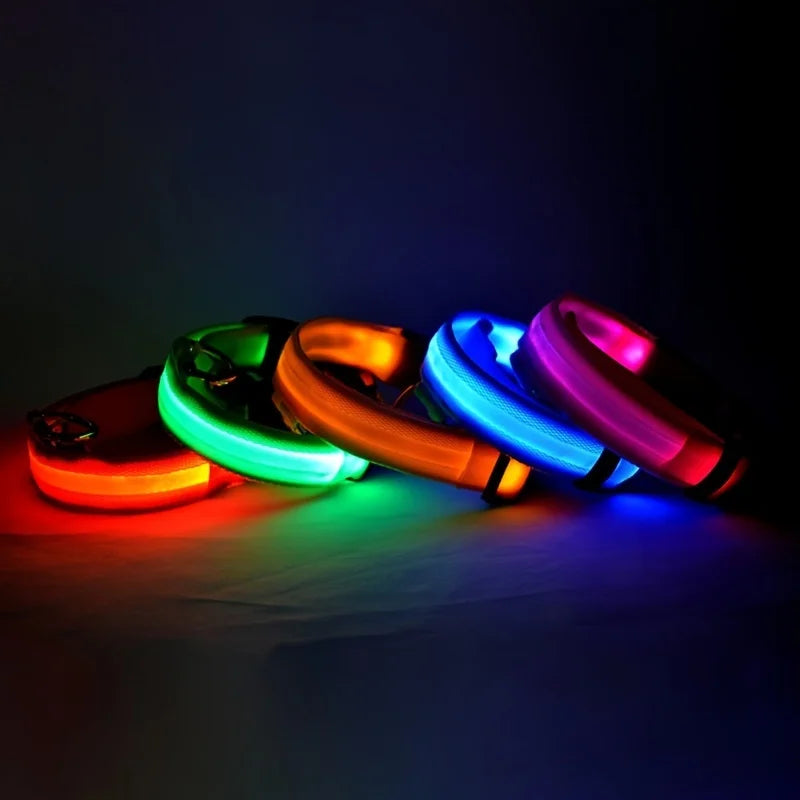 LED Dog leash
