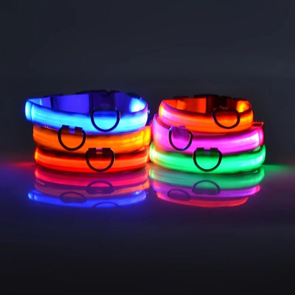 LED Dog leash