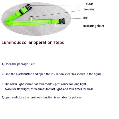 LED Dog leash